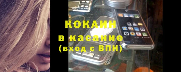 твердый Сясьстрой