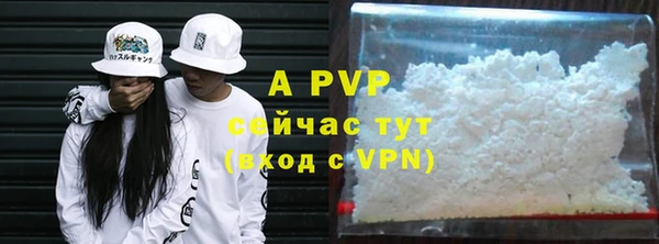 твердый Сясьстрой